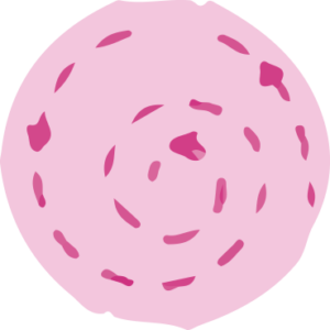 icon-en-circulos icon-en-circulos